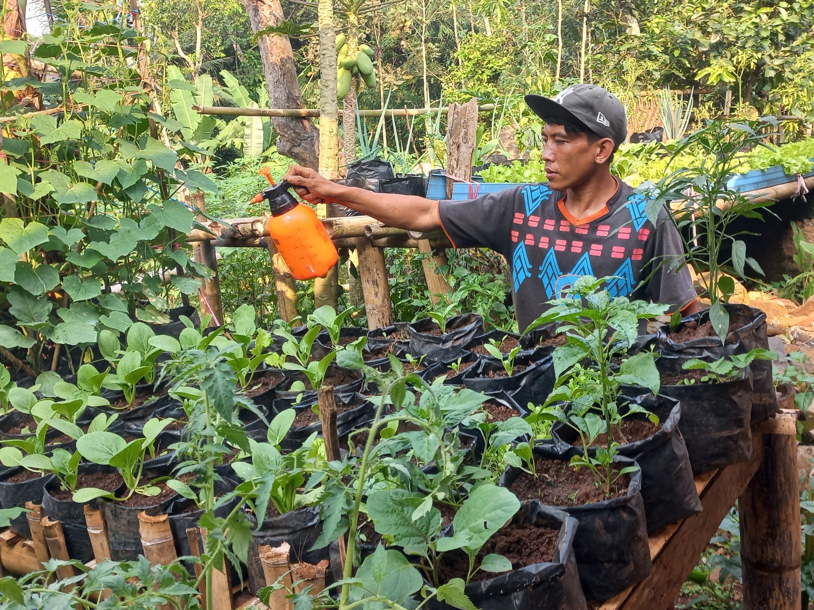 Manisnya Harapan dalam Butiran Ragi Asep Dadang